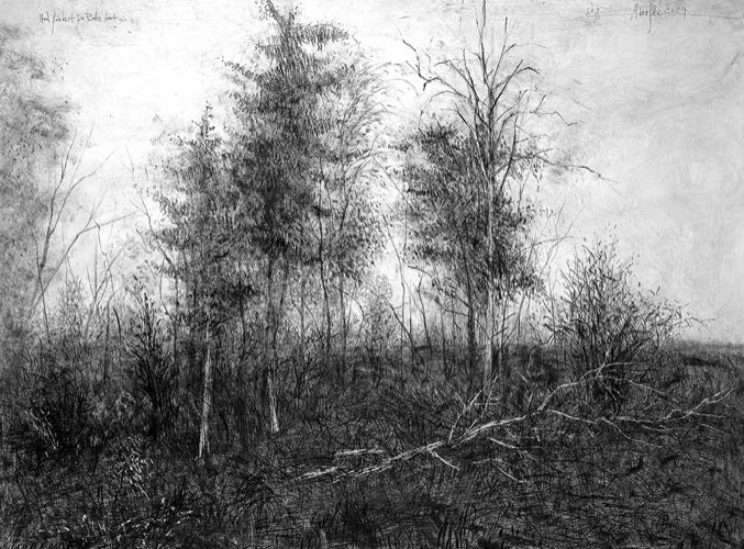 Rainer Marofke